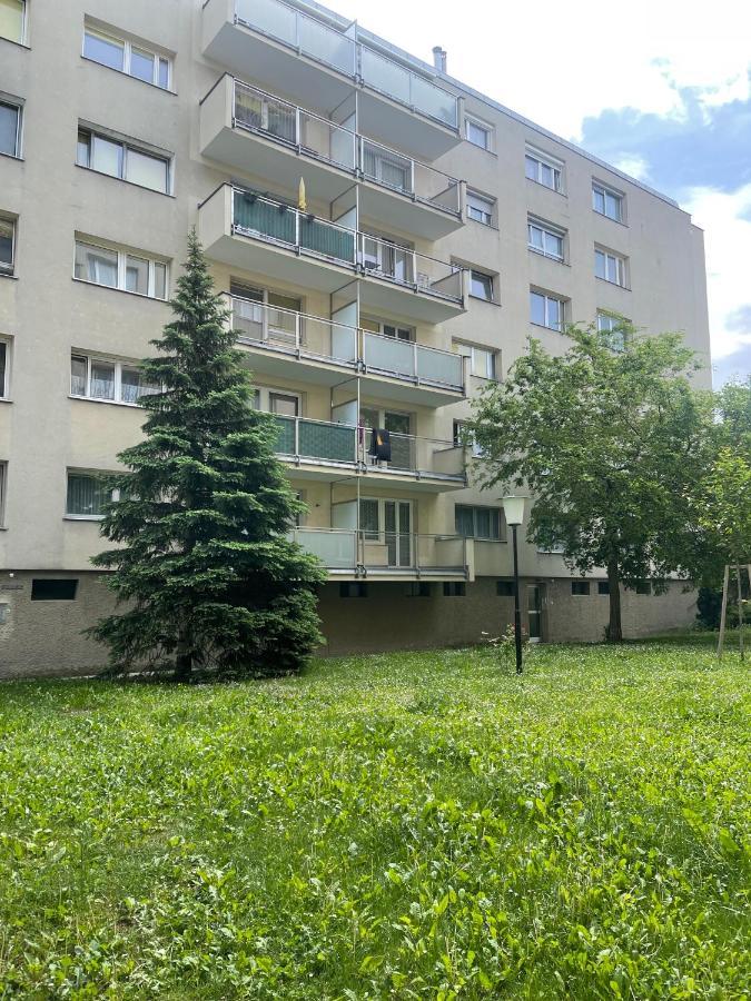 19 * Vienne